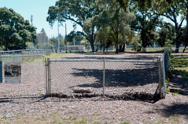 Doyle Dog Park photo 1